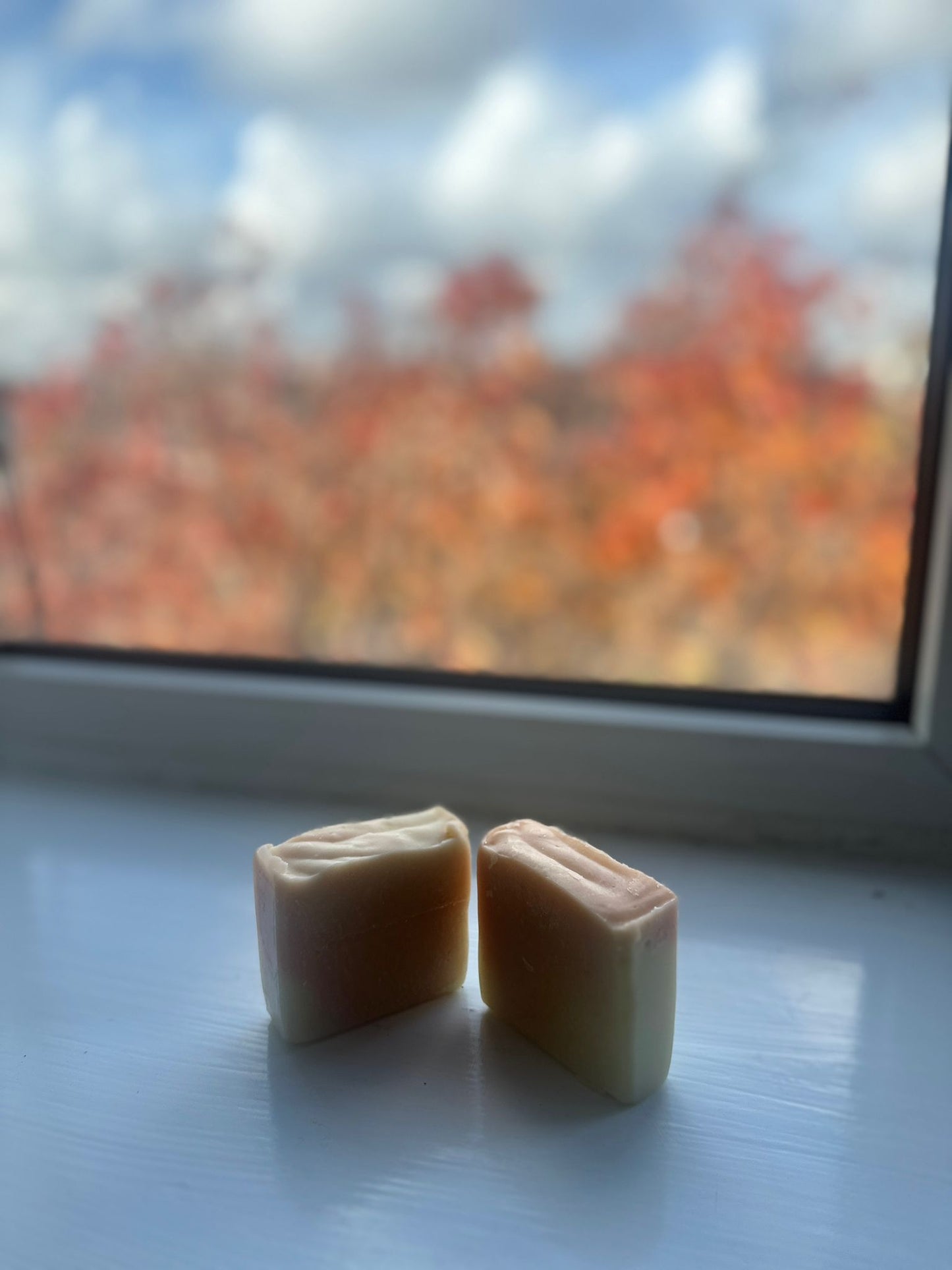 Sorrel & Ginger Soap Bar